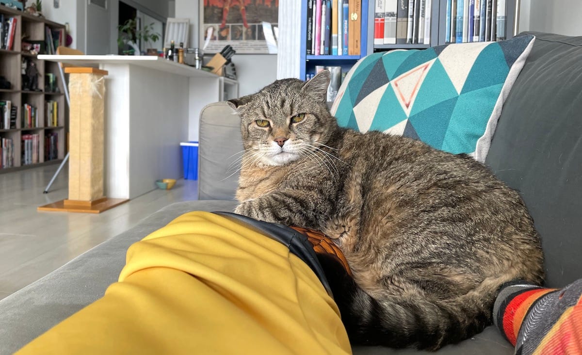 The Legend of Boneless Bud Gundy