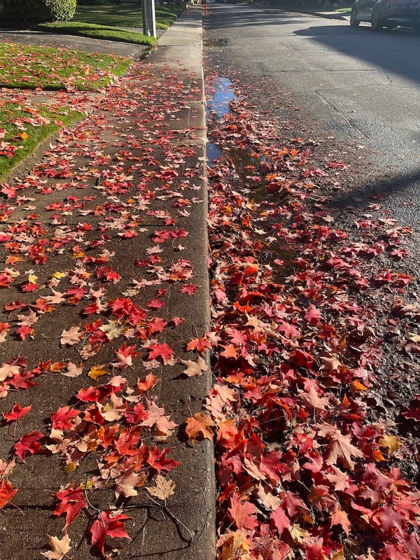 One of a thousand days